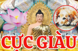 5 ngày cuối tháng 3 (27-31/3): 4 tuổi số đỏ hơn son, kiếm tiền cực đỉnh, dễ có tiền tỷ
