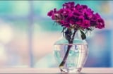 Mất tiền không đáng sợ, người để mất đi 3 thứ này là tiếc nuối nhất, làm mãi vẫn nghèo