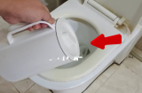 Tại sao cần đun ngay 1 ấm nước sôi đổ vào bồn cầu khi nhận phòng khách sạn?