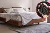 Đặt một nắm hạt tiêu dưới gầm giường, công dụng bất ngờ, nhiều người ước biết sớm hơn