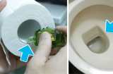 Nhỏ giọt dầu gió vào cuộn giấy vệ sinh: Được 2 lợi ích đặc biệt ai cũng muốn học theo