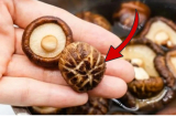 Ngâm nấm hương đừng thả vào bát nước, thêm 1 thứ nấm nở căng phồng, bong hết cặn bẩn