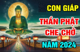 Có phúc ắt có phần: 3 tuổi thiện lương hưởng lộc, chẳng phải nghèo lâu