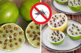 Muỗi sợ thứ này, đem cắm vào quả chanh rồi bỏ ở góc nhà, yên tâm mà ngủ