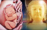 Tại sao đứa trẻ lại muốn đầu thai vào nhà bạn mà không phải nhà người khác?