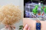 5 thứ này trong nhà bỗng dưng 'đứng im' là có điềm, gia chủ cẩn thận, xử lý khéo thì giàu vụng thì họa