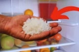 Đặt 1 bát muối vào tủ lạnh, điều kỳ diệu xảy ra, nhiều người vội làm theo