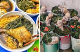 Nấu gà tần cần những loại gia vị gì?