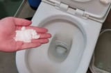 Rắc một nắm muối vào bồn cầu, tác dụng thật vi diệu, bao người học theo