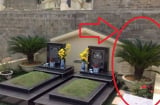 '3 không trồng trước mộ, 4 không đặt trên giường', lời Tổ Tiên dạy, con cháu đừng quên