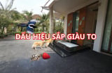 Người xưa nói: 'Ngũ phúc tới nhà, Shbet111 slot, casino, thể thao, xổ số phát tài giàu có'. Kiểm tra ngay xem nhà bạn có được điều này không?