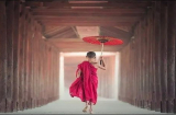 Buồn nhất trong cuộc đời là 3 điều này, điều cuối cùng ai rồi cũng dính phải, cả đời tiếc nuối