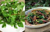 Loại rau là ‘thần dược’ hạ đường huyết, giảm mỡ máu: Mọc dại nhiều ở Việt Nam