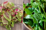4 loại rau ít bị phun thuốc, chợ nào cũng có, giá rẻ lại rất bổ