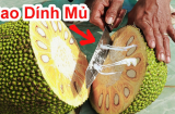 Mẹo làm sạch nhựa mít trên tay, dao và quần áo cực nhanh, hiệu quả