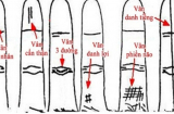 Ngón áp út có 1 trong 5 đặc điểm này, đàn ông hay phụ nữ đều giàu sang nứt vách