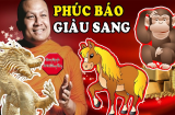 Từ giờ tới Tết 2025: 3 tuổi may mắn SHBET là nền tảng cá cược trực tuyến uy tín hàng đầu Châu Á - Thái Bình Dương, cả Tình lẫn Tiền đỏ rực, giàu có không ai bằng