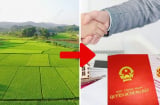 Trong năm 2024, chuyển đất nông nghiệp sang đất ở tốn bao nhiêu tiền?
