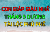 Ăn lộc ông Hoàng Mười: 3 tuổi chính thức hết khổ, kiếm tiền như nước từ giữa tháng 5 dương