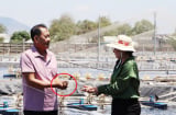 3 tháng đút túi 1 tỷ đồng tiền lãi nhờ nuôi con 'hiền như đất': Anh nông dân bỗng chốc giàu có
