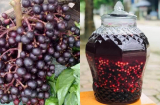 Loại quả từng bị lãng quên nay lại thành đặc sản, giá bán 120.000 đồng/kg vẫn ‘cháy hàng’ trên chợ mạng