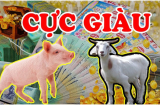 Rồng Vàng cất cánh: Đúng 1/4 Âm 3 tuổi đệ tử Thần Tài kinh doanh thắng lớn không thành tỷ phú cũng đại gia