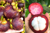 Chọn măng cụt cứ nhìn vào điểm này, biết ngay quả nào vỏ mỏng, nhiều thịt