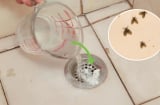 Phòng tắm hay có côn trùng nhỏ bay ra, dùng ngay thứ này để diệt sạch chúng