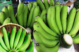 Tại sao khi thắp hương, ông bà dặn chỉ đặt 1 nải chuối trên ban thờ mà không ai đặt 2?