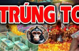 Rồng đạp gió, phất lên vù vù: 3 tuổi tiền về như nước liên tiếp 3 tháng tới