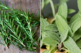 8 loại lá tự nhiên cứ dùng là người thơm ngát, chẳng hề tốn kém như nước hoa