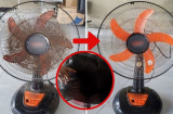 Bí quyết làm sạch quạt điện không cần tháo khung, chỉ 3 phút sạch bong như mới