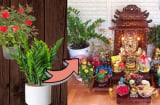Thắp hương cả chậu hoa được không hay phải ngắt cành hoa cắm vào bình?
