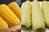 Luộc ngô non nên cho muối hay đường để ngô ngon hơn? Rất nhiều người không biết điều này