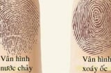 Người xưa có câu 'Một con ốc nghèo, hai con ốc giàu': Nhìn đường vân tay biết ngay ai giàu sang hay nghèo khó