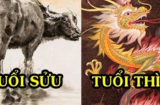 21 ngày tới: 3 Shbet888.com nhà cái uy tín hoan hỉ gặp Sh88bet link truy cập World Cup, cuối năm nhận thưởng hậu hĩnh