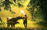 Dù giàu hay nghèo, đến tuổi trung niên phải chuẩn bị cho mình 4 đường lui để sống yên ổn