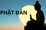 Những việc nên và không nên làm trong Đại lễ Phật Đản để gặp may mắn, tích thêm phước đức
