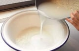 Dùng nước vo gạo để tưới cây có tốt hay không?