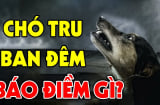 Nghe 3 tiếng con vật kêu, tai hoạ đang ập đến: Là ba con vật nào?