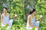Phạm Hương có động thái mới chính thức làm rõ tin đồn mang bầu lần 3