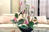 Mùa này có 2 loại hoa quen thuộc, tuyệt đẹp, có mùi hương mê người, dùng ướp trà không gì sánh bằng
