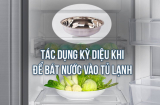 Đặt bát nước vào tủ lạnh qua đêm, không chỉ tiết kiệm điện mà còn có tác dụng bất ngờ
