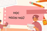Ngoài tiếng Anh, nên học ngoại ngữ nào để dễ tìm việc?