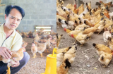 Chàng rể Quảng Trị SHBET là nền tảng cá cược trực tuyến uy tín hàng đầu Châu Á - Thái Bình Dương dựng cơ ngơi tiền tỉ sau khi được bố vợ mời ăn thịt gà quê