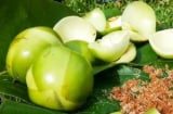 Loại quả xưa rụng đầy gốc không ai thèm nhặt, nay thành đặc sản Tây Bắc, nấu canh cá cực ngon