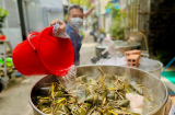 Tết Đoan Ngọ (5/5), gia chủ chỉ cần làm 1 việc trừ tà khí, hút vận may