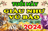 4 tuổi ra tay 'lật ngược ván cờ', nửa cuối 2024 đá bay xui xẻo, tiền của về tay