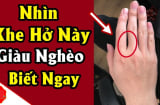 Khép bàn tay lại nhìn khe hở bàn tay biết tương lại bạn thành đại gia hay làm thuê mãi mãi