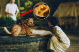Cổ nhân dặn:  “Thà cho chó ăn còn hơn uống rượu với đậu phụ”, vì sao?